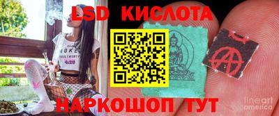 шишки Бузулук