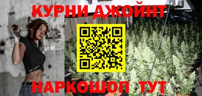 шишки Бузулук
