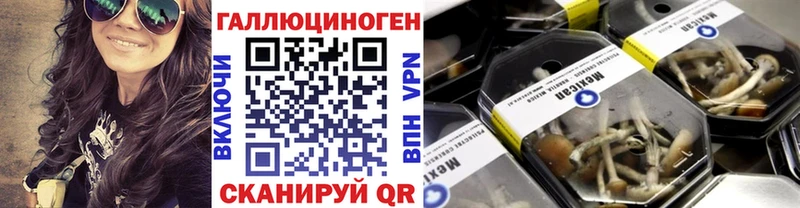 где продают наркотики  Донецк  Псилоцибиновые грибы MAGIC MUSHROOMS 