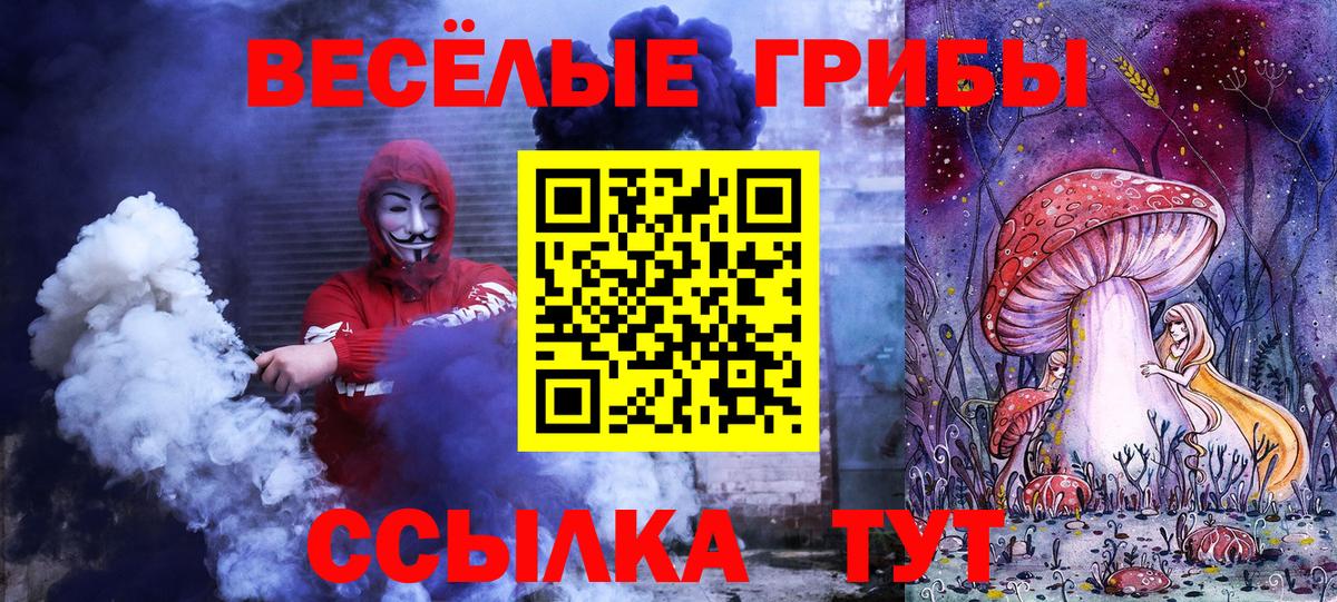 Галлюциногенные грибы Psilocybe Донецк