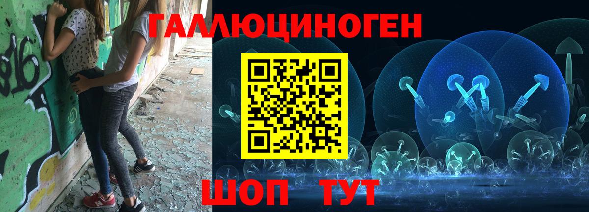 Псилоцибиновые грибы Psilocybe Донецк